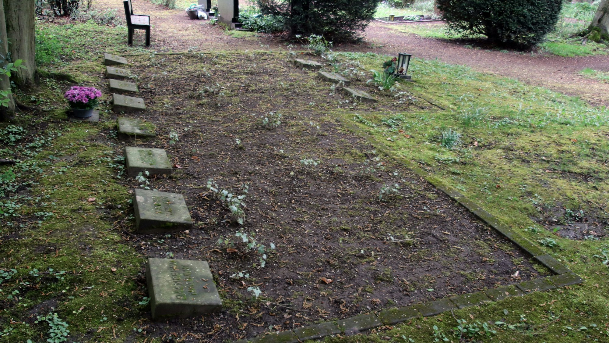 Ein Gräberfeld mit acht Grabsteinen.