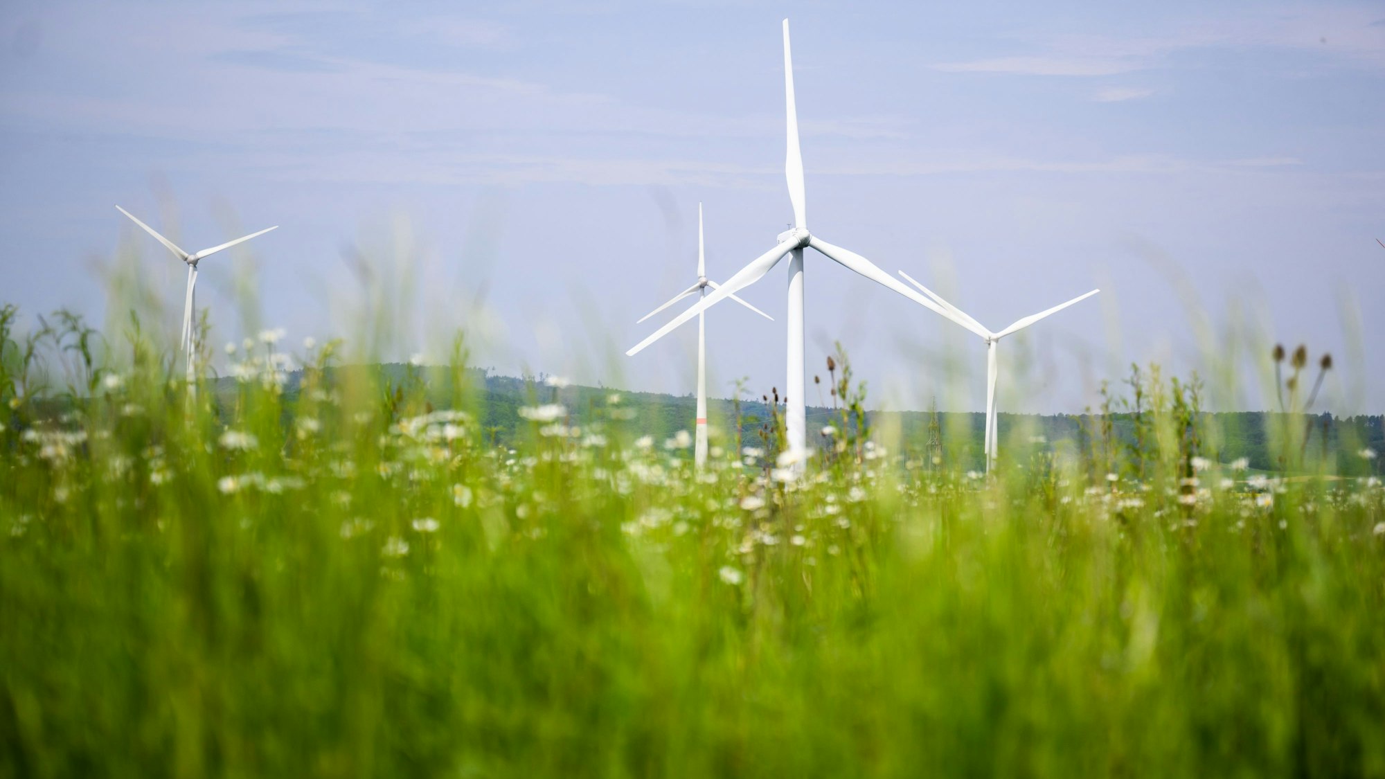 Windräder drehen sich auf einem Feld.