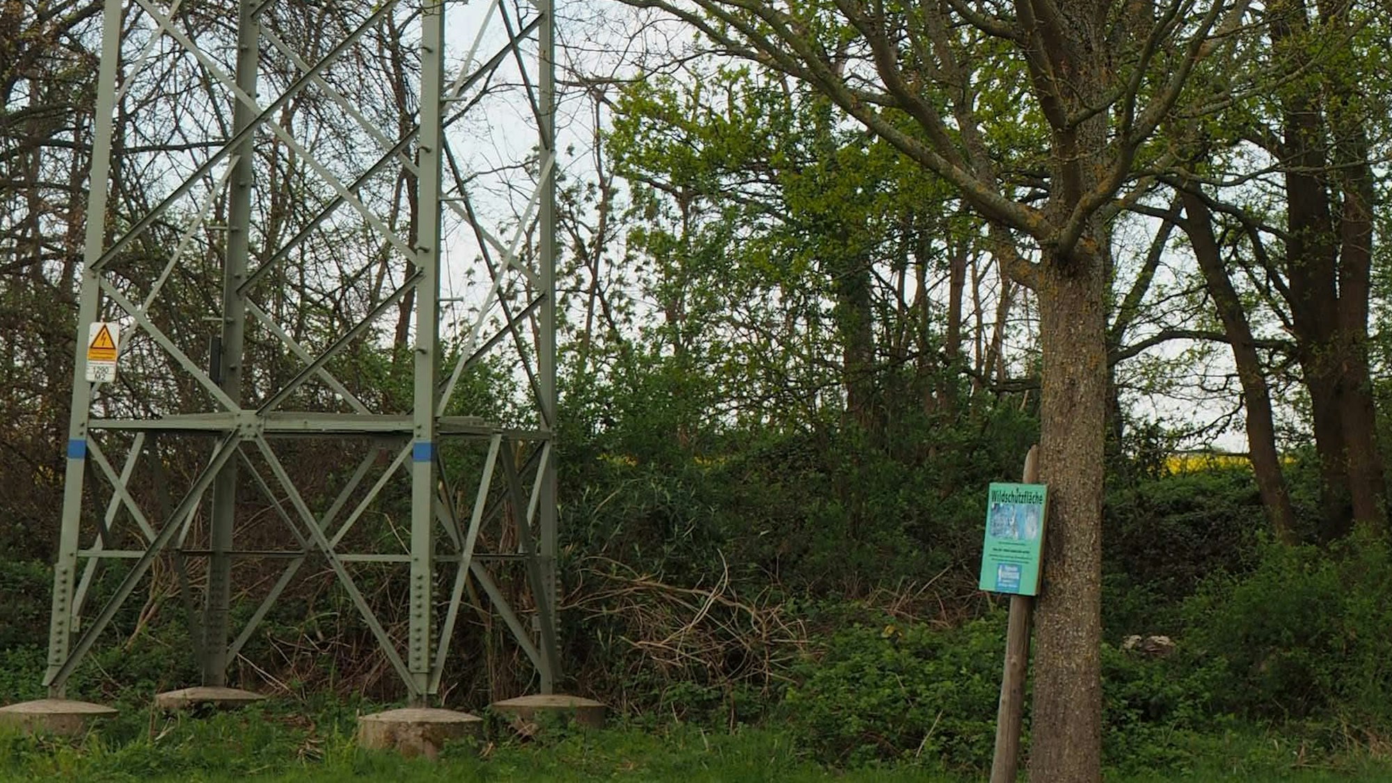 Ein Strommast links im Bild.