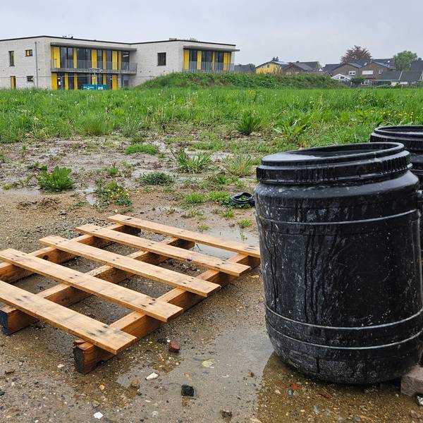 Zu sehen ist eine Holzpalette und zwei schwarze Plastiktonnen vor einer unbebauten Wiese, im Hintergrund steht ein Gebäude.