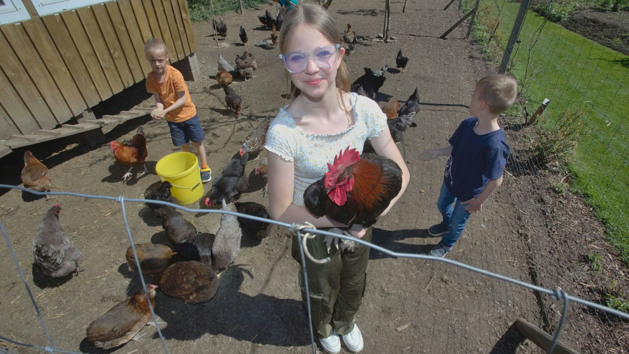 Ein Mädchen hält auf einem Hof einen Hahn auf dem Arm.
