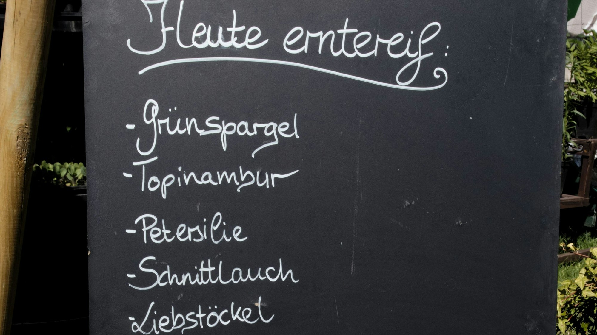 Auf einer Tafel stehen Gemüsesorten, die aktuell erntereif sind.