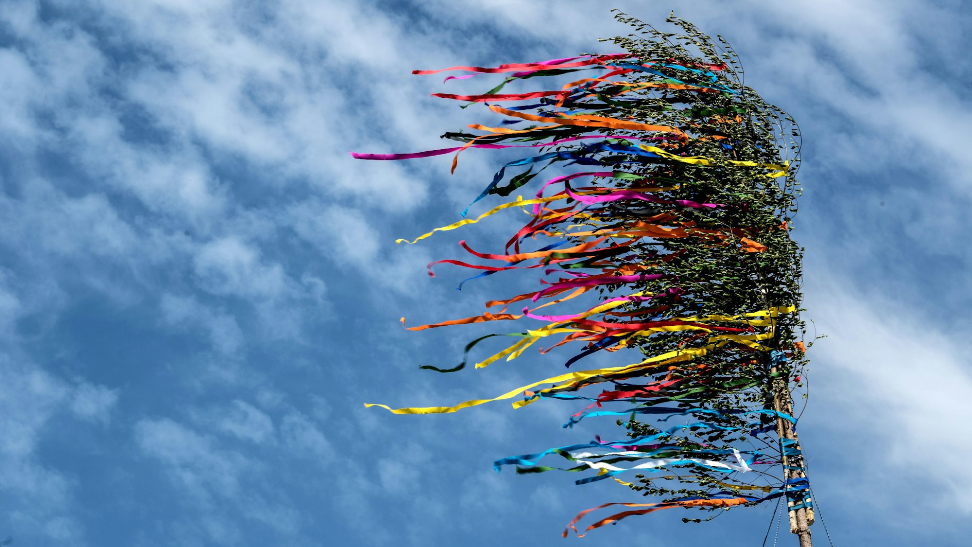 Bunte Bänder eines Maibaumes flattern vor dem blauen Himmel.