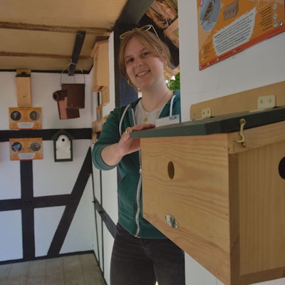 dbo - 17349,   Lindlar, Lingenbacher Weg, Nordtor LVR-Freilichtmuseum: PK neue
Outdoor-Ausstellung "Biologische Vielfalt bergischer Insekten und Brutvögel
Carolin Gilgenbach