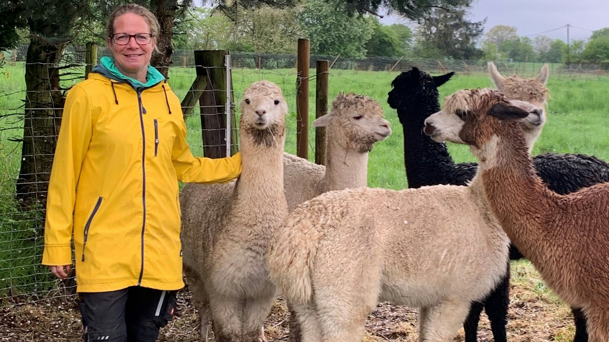 Tanja Hahnenberg mit ihren Alpaka-Mädchen auf der Weide.