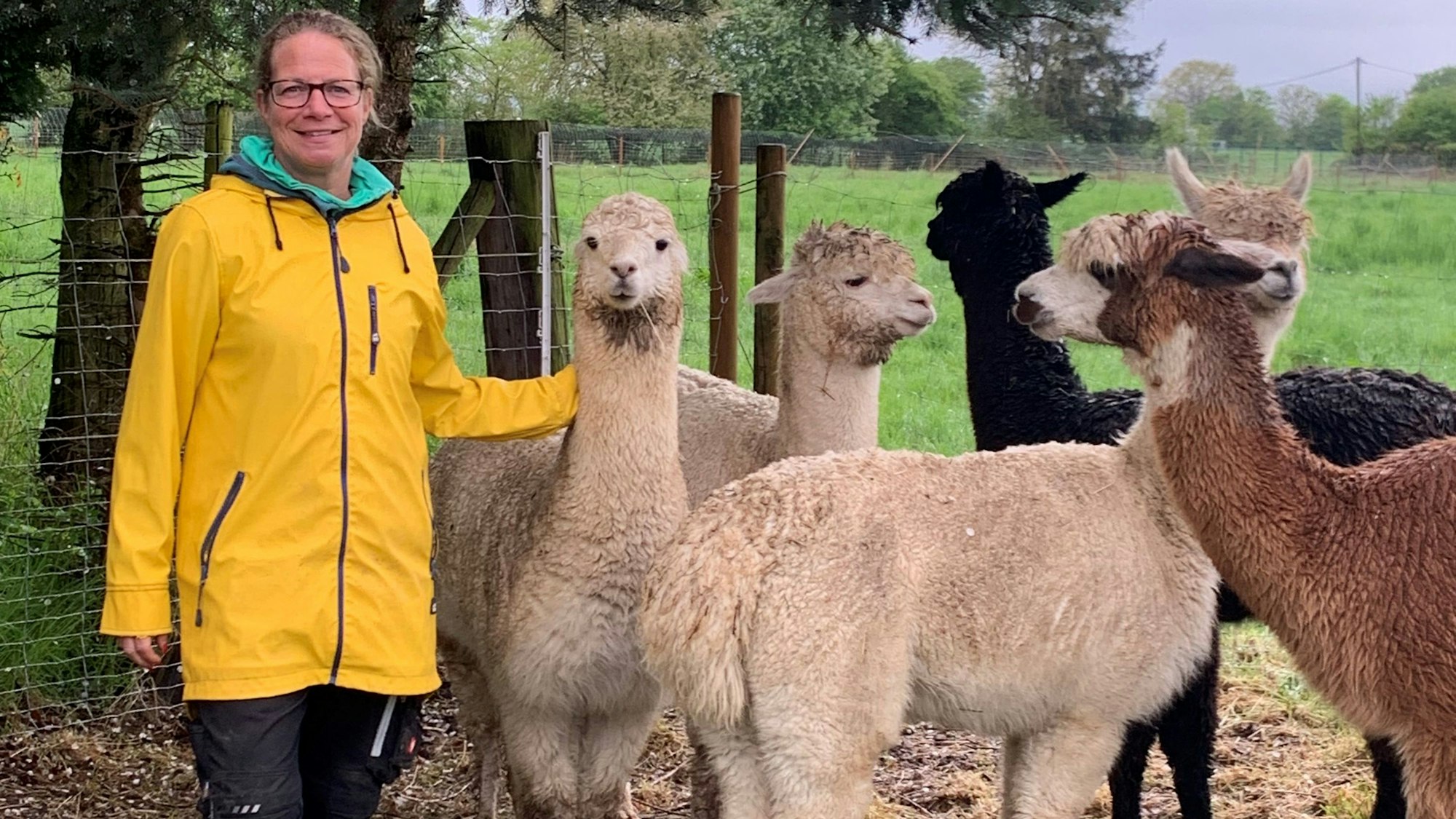 Tanja Hahnenberg mit ihren Alpaka-Mädchen auf der Weide.