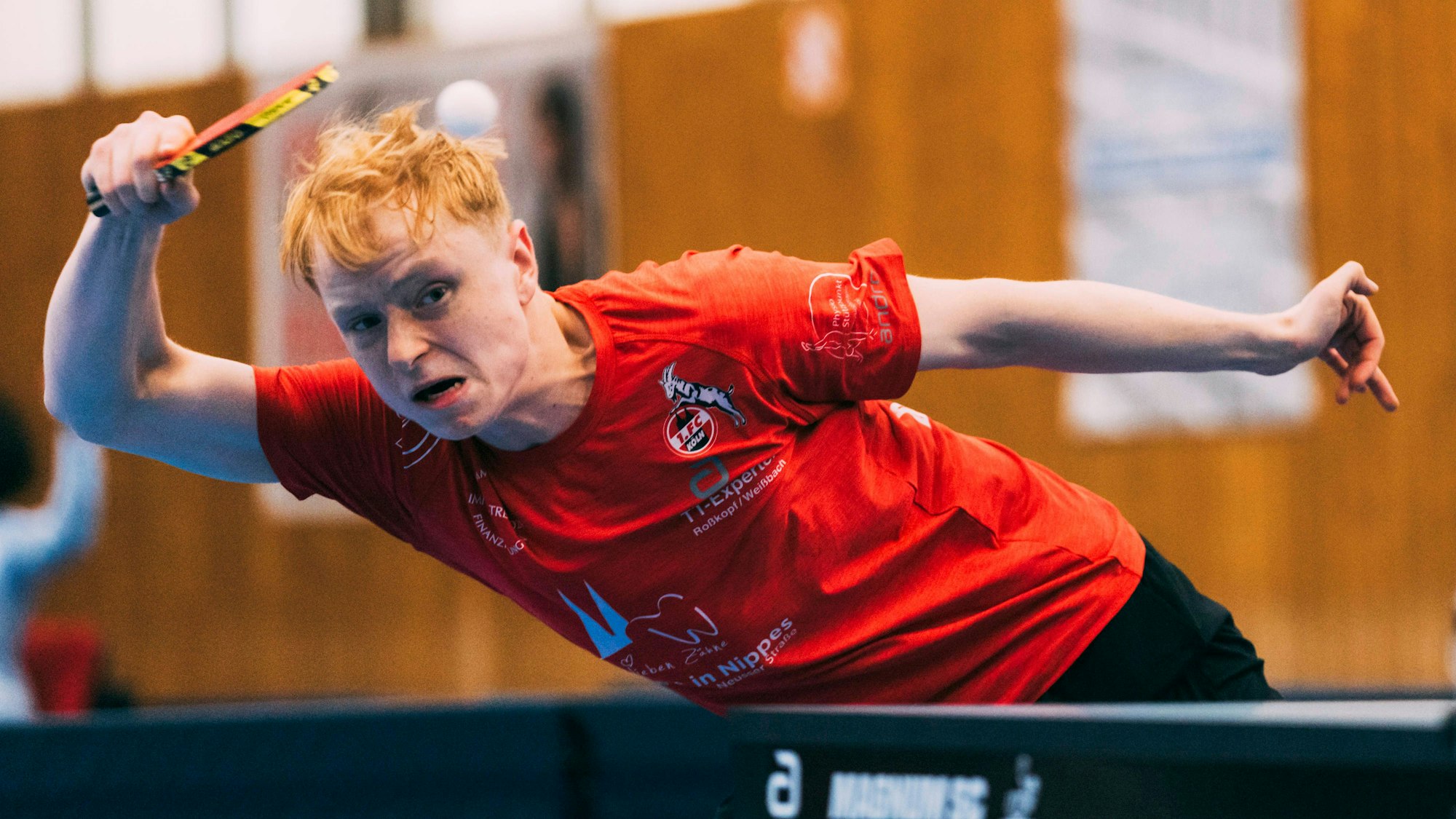 Köln, Lindenthal, 17.11.2024: Andre Bertelsmeier 1.FC Köln in Aktion beim Spiel der Tischtennus 2.Bundesliga 1.FC Köln vs. 1.FSV Mainz 05. *** Cologne, Lindenthal, 17 11 2024 Andre Bertelsmeier 1 FC Köln in action at the Bundesliga 2 table tennis match between 1 FC Köln and 1 FSV Mainz 05