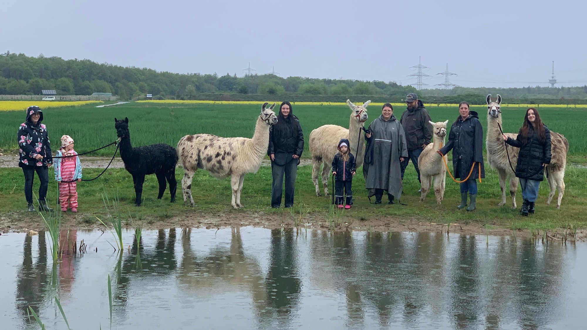 Kinder teilen sich ein Tier mit einem Erwachsenen. Dann macht Tanja Hahnenberg einfach zwei Stricke am Halfter fest.