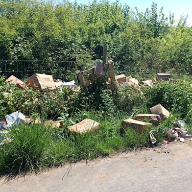 Kartons und Paletten liegen im Grünstreifen am Rande einer Straße.