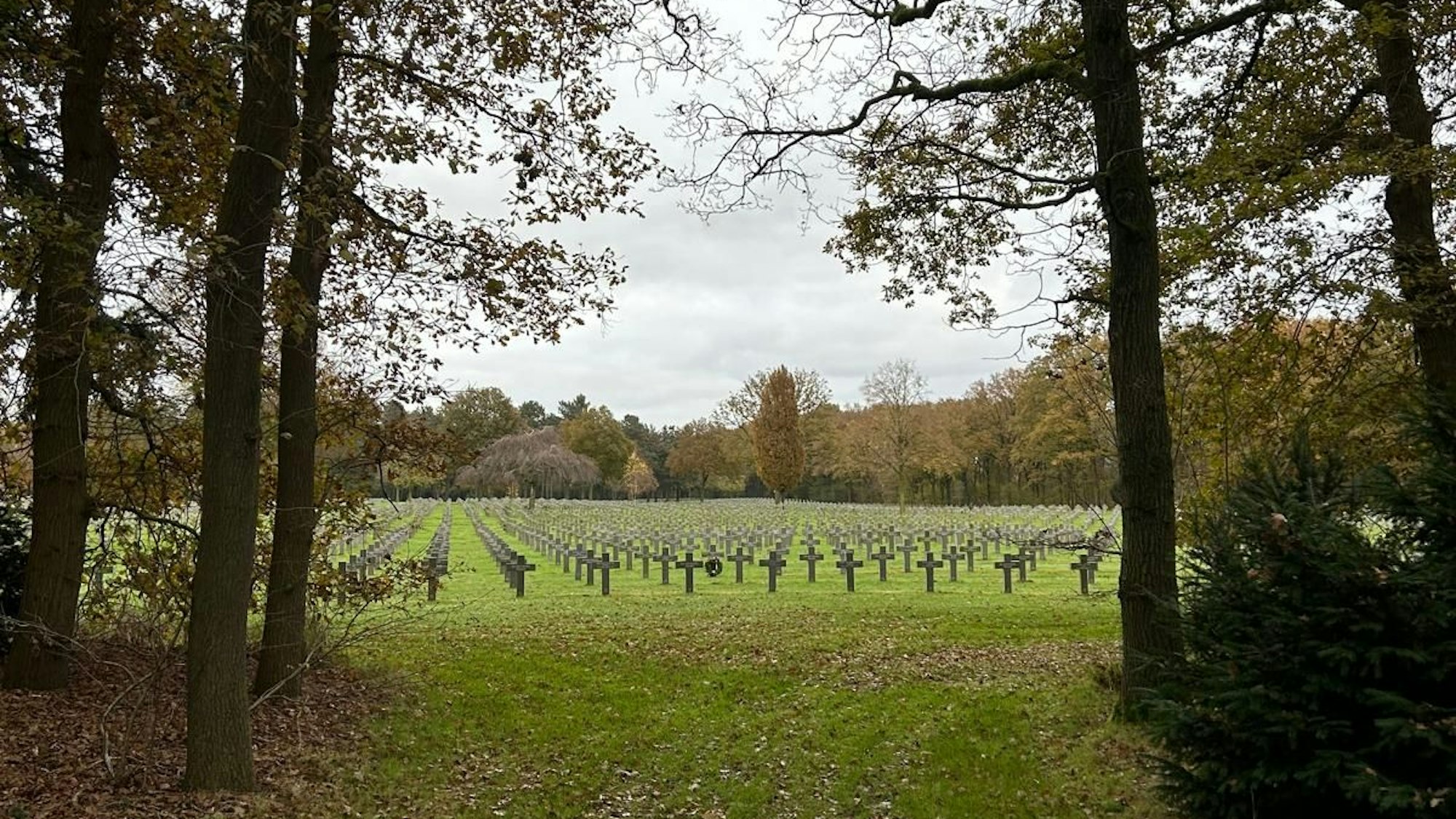 Ein Vielzahl von Kreuzen