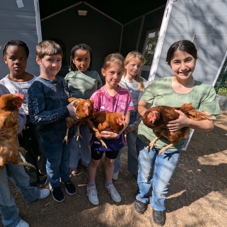 Das Foto zeigt Mädchen und Jungen vor dem Hühnerstall mit den vier Legehennen auf den Armen.