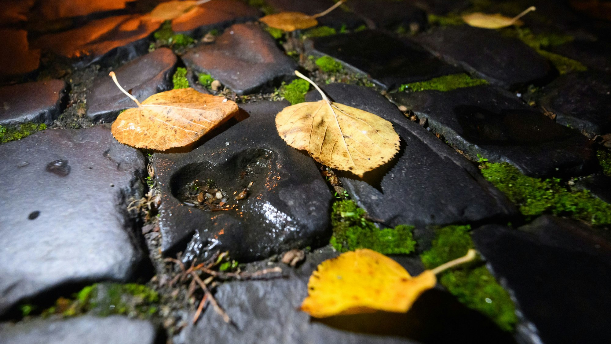Jillian war geschockt von der Trennung - da ist Herzschmerz vorprogrammiert.
