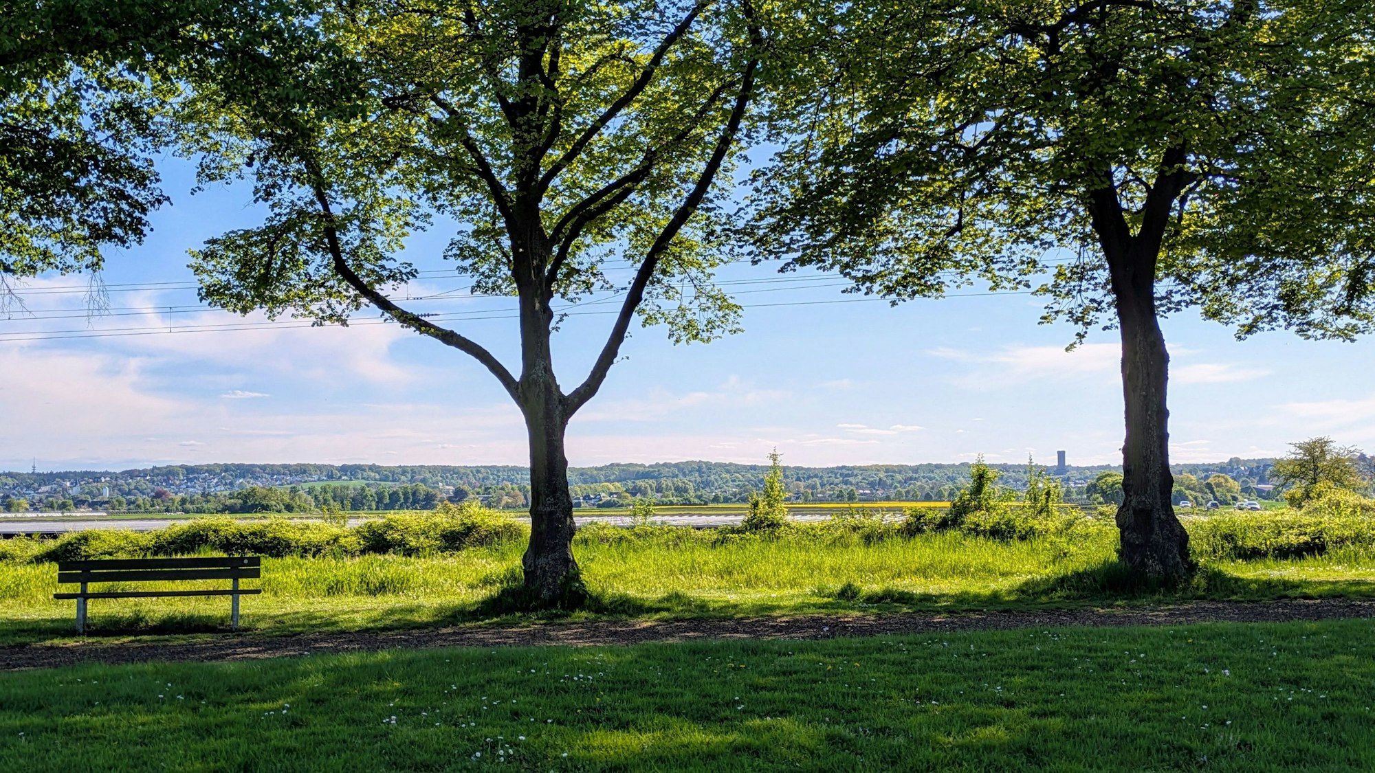 Grüne Oasen, Bäume und saftige Wiesen sind wichtig, um dem Klimawandel im Vorgebirge zu begegnen.