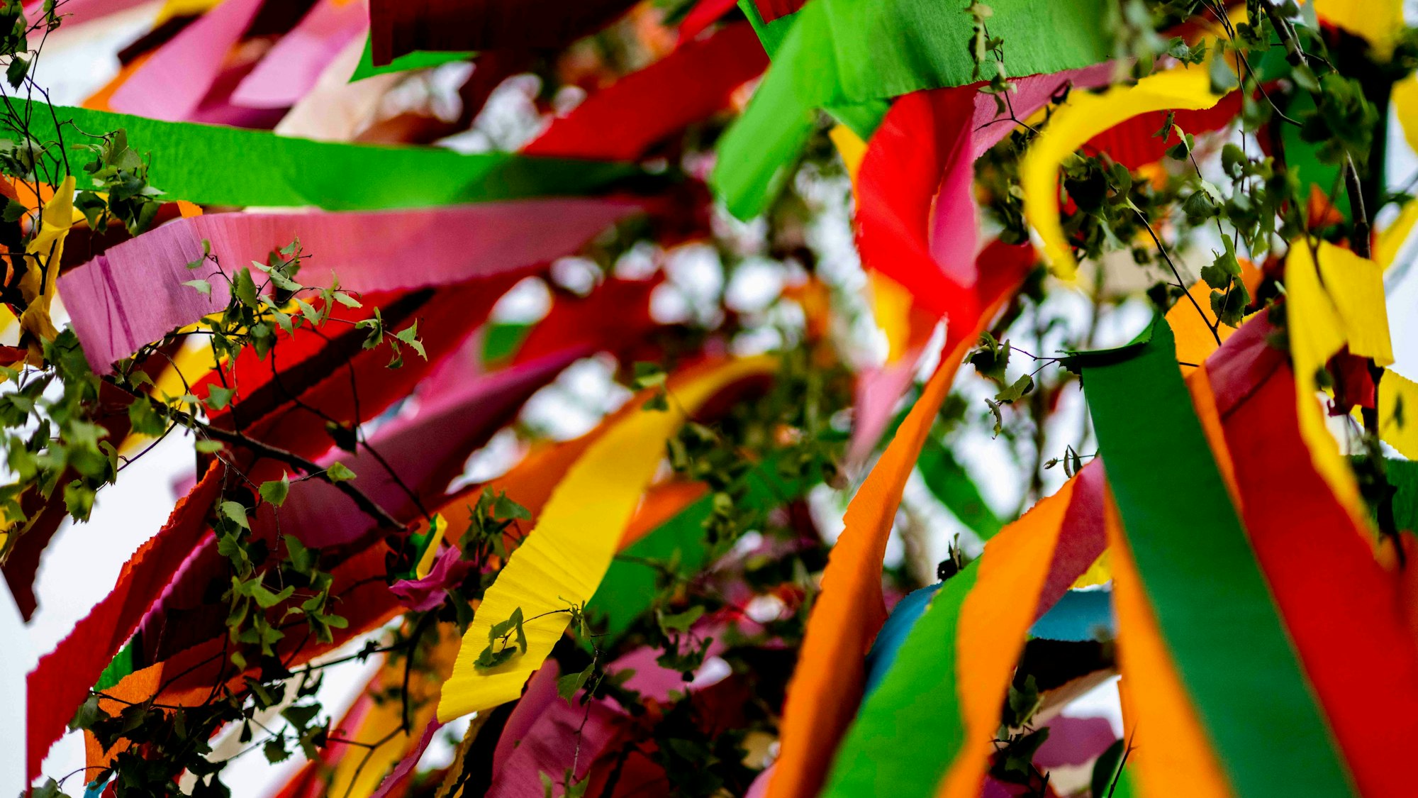 Das Bild zeigt einen Maibaum.