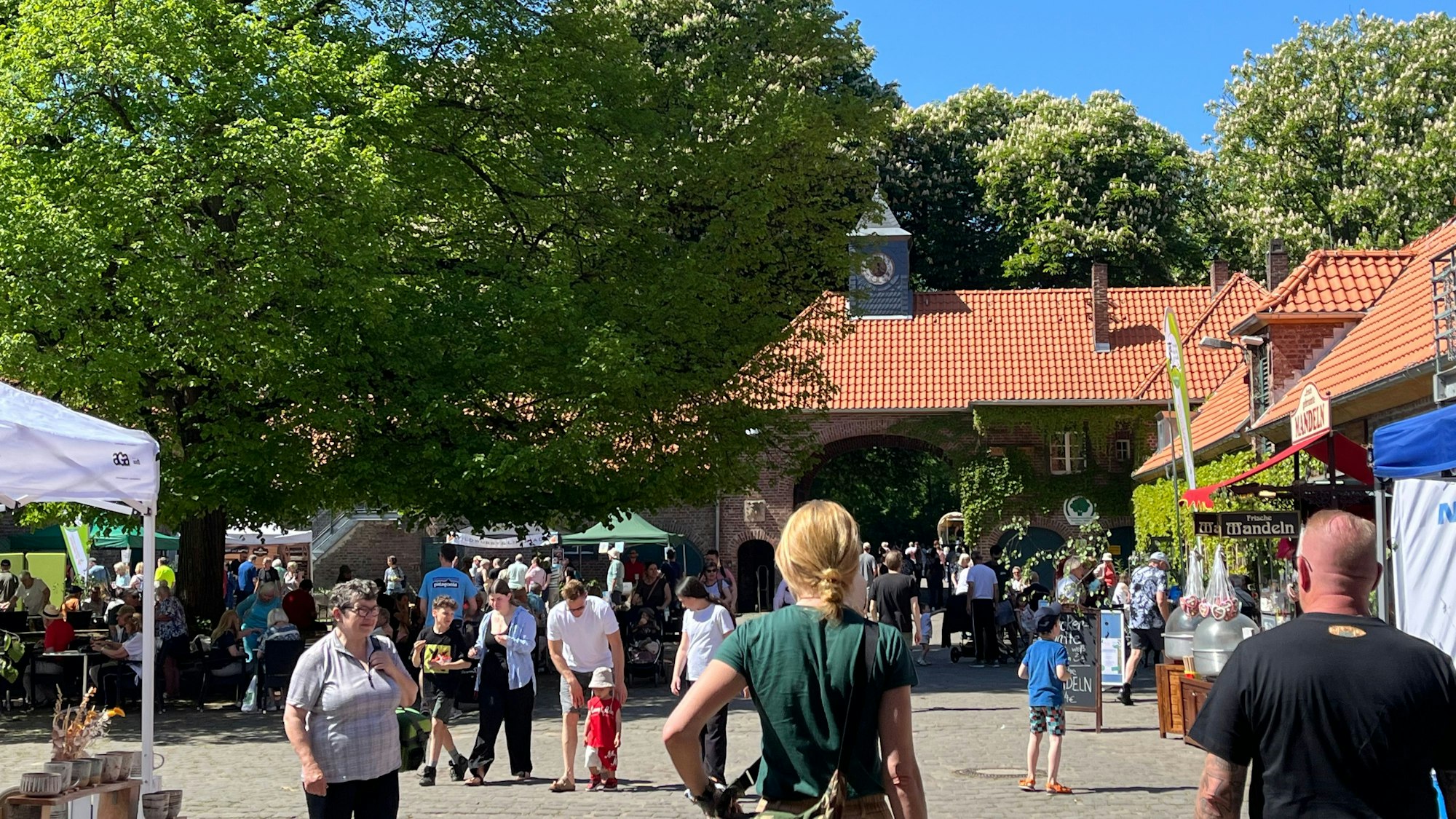 Im Lindenhof und im Eichenhof des ehemaligen Rittergutes erfuhren Tausende Gäste auf spielerische Weise Wissenswertes über Naturschutz.