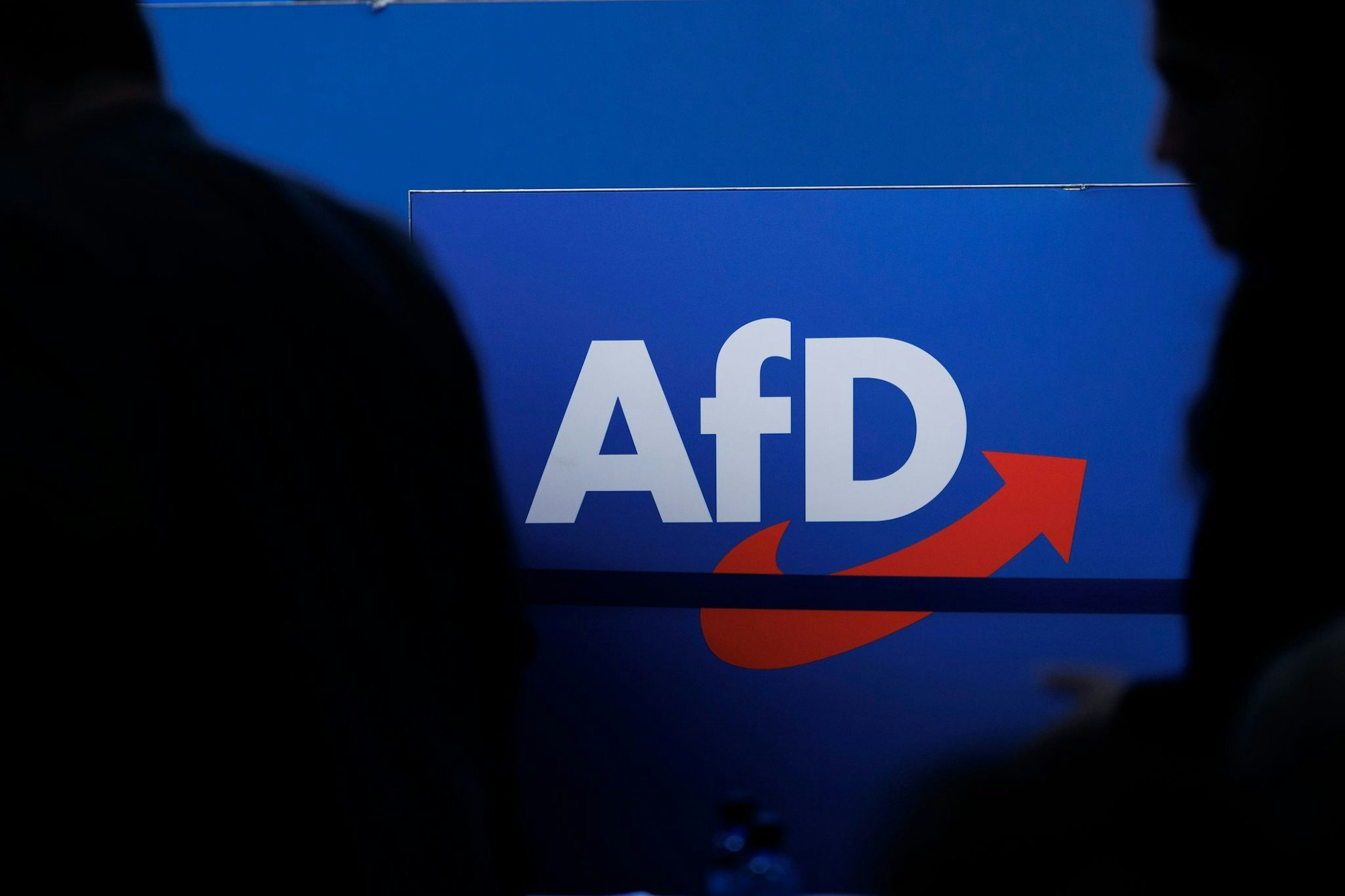 Die AfD in Brandenburg wurde vom Landesverfassungsschutz als gesichert rechtsextremistisch eingestuft. (Symbolbild)