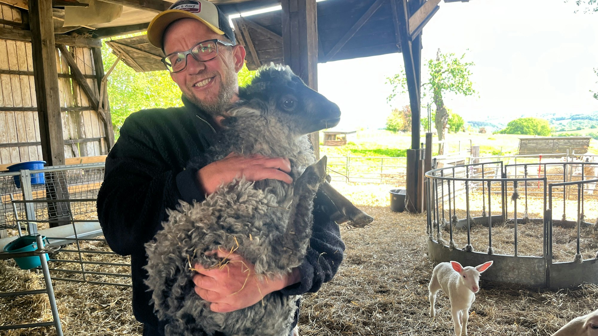 Simon Darscheid vermutet, dass das Tier nicht oder nicht mehr zum Leuscheider Rudel gehört.
