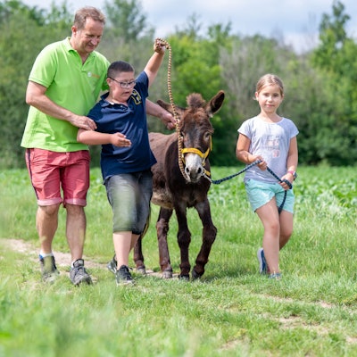Zwei Kinder gehen mit einem Mann und einem Esel am Strick über einen Feldweg.