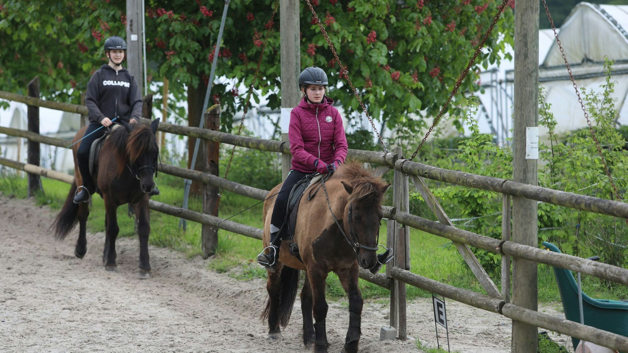 Zwei junge Mädchen reiten auf Islandpferden.