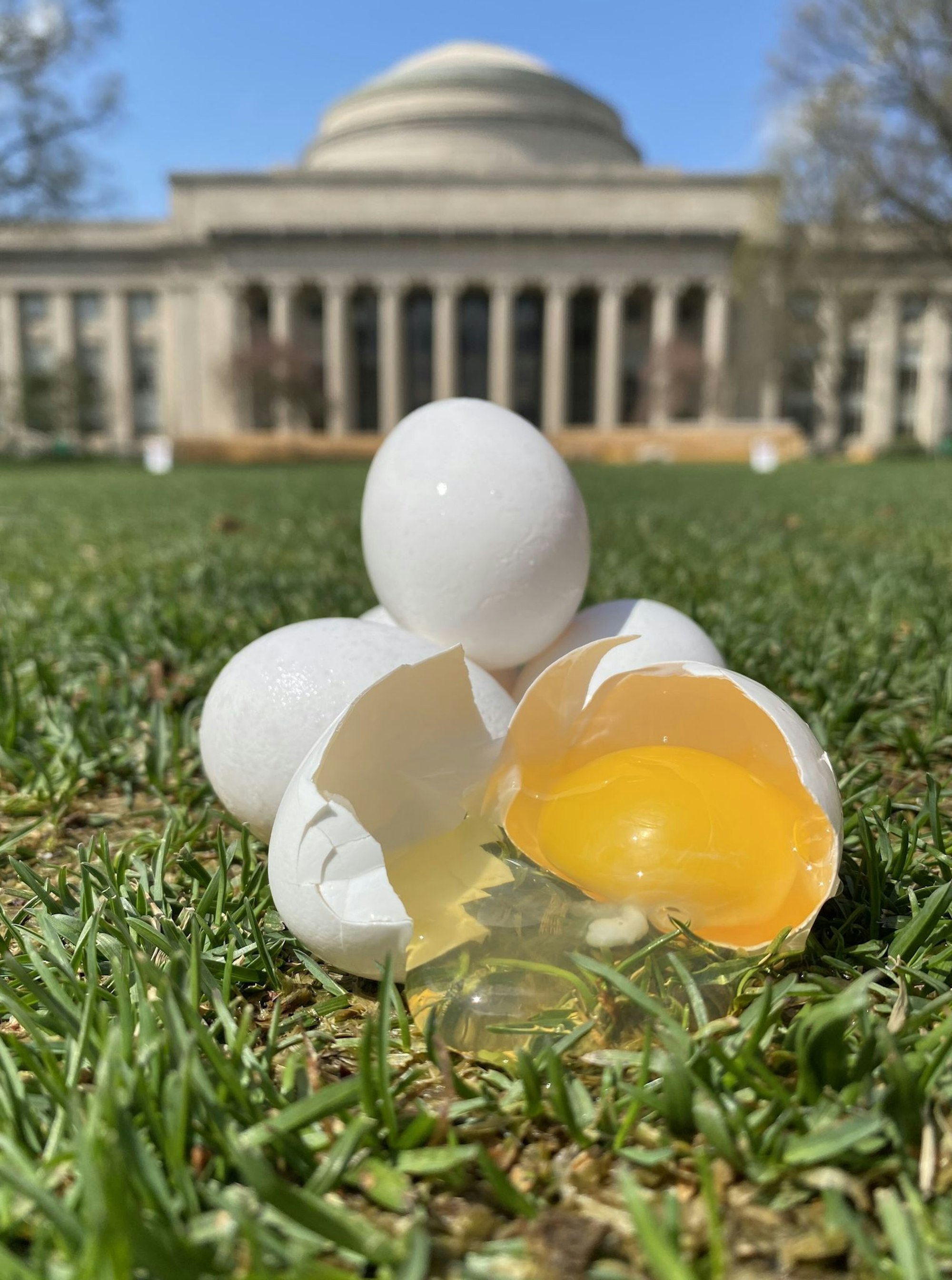 Ist das Kunst oder Wissenschaft? Eier vor dem Massachusetts Institute of Technology in den USA.