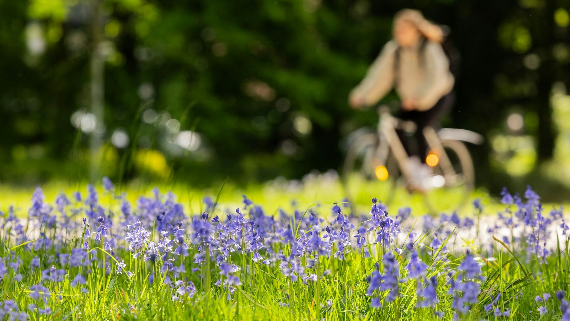 Das sommerliche Wetter vom Wochenende bleibt den Menschen in NRW erhalten. Die Temperaturen bleiben dem DWD zufolge konstant. (Archivbild)