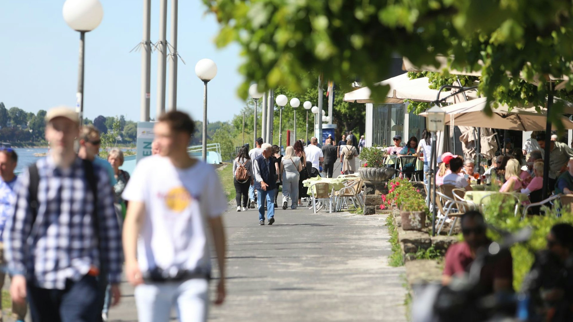 Menschen flanieren an einem Sommertag auf der Rheinpromenade in Königswinter.