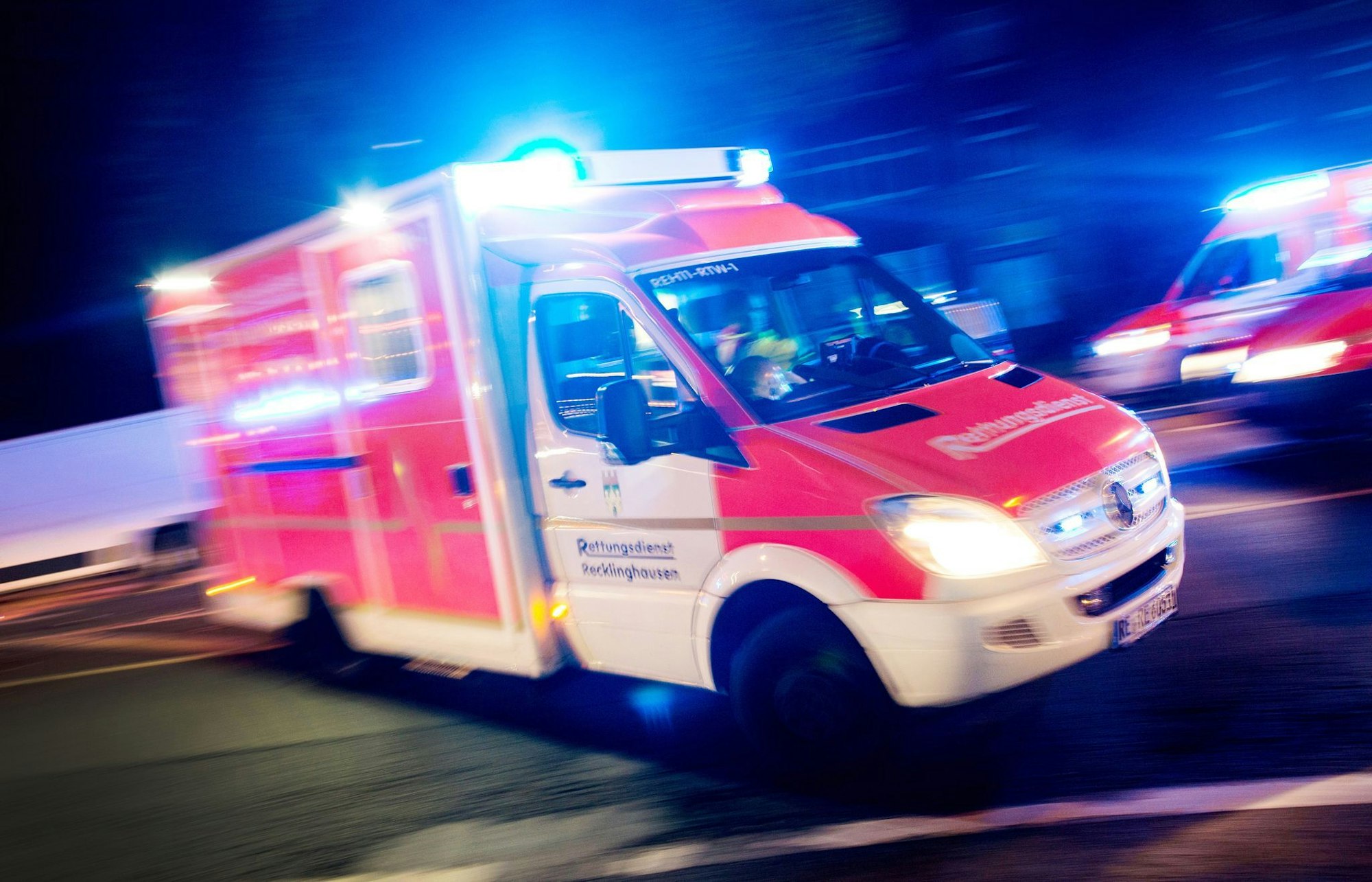 In Delbrück im Kreis Paderborn musste der Notarzt eine Frau nach einem Tigerbiss behandeln. (Symbolbild)
