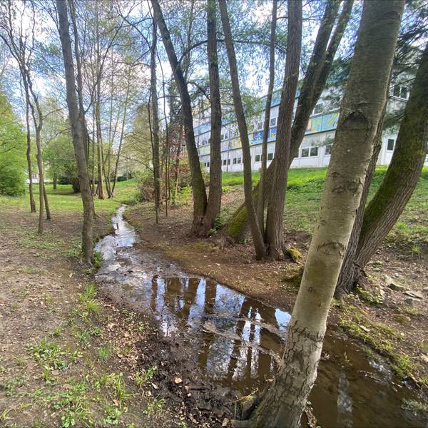 Zu sehen ist der Bachlauf des Donnerbachs und im Hintergrund das Gebäude der Grundschule Brühl-West.