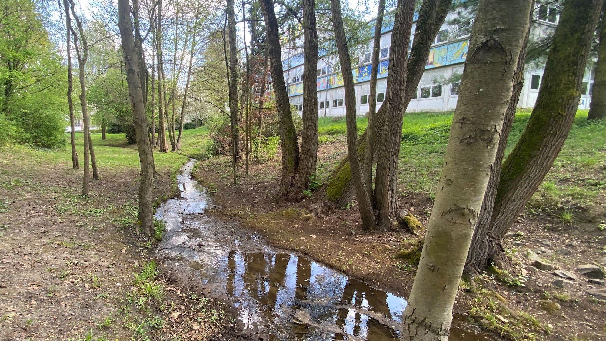Zu sehen ist der Bachlauf des Donnerbachs und im Hintergrund das Gebäude der Grundschule Brühl-West.