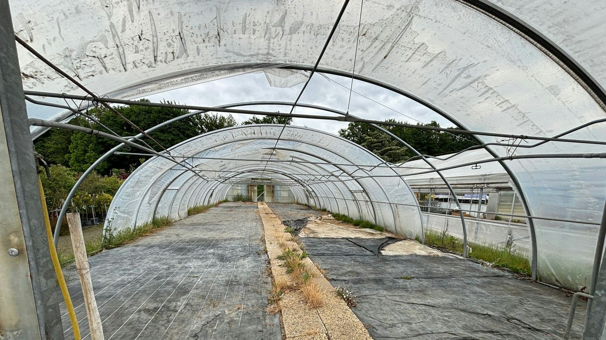 Auf dem Bild ist ein leeres Gewächshaus zu sehen.