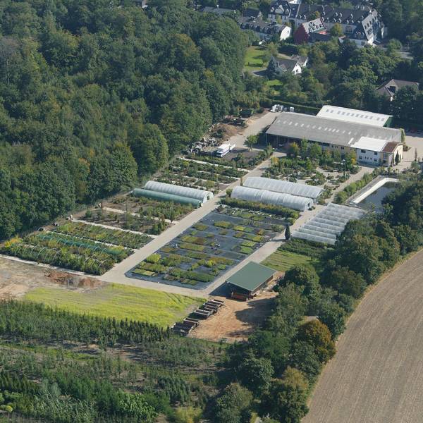 Die Luftaufnahme zeigt das Betriebsgelände des Gartenbaubetriebs Zirener an der Alten Aachener Straße in Königsdorf.