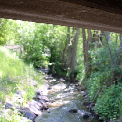 Eine kleine Kamera ist unter einer Brücke installiert. Unten fließt der Eschweiler Bach mit niedrigem Wasserstand.