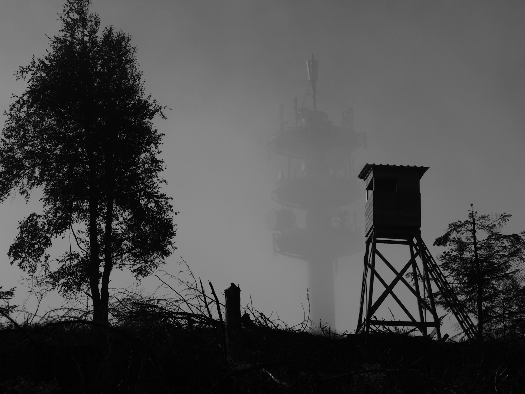 Ein schwarz-weißes Foto zeigt einen Hochstuhl im Nebel.