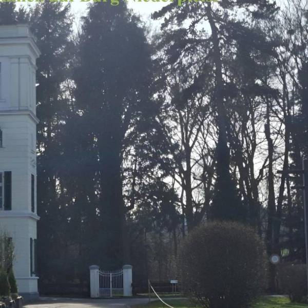 Rund um die Burg Niederpleis in Sankt Augustin können Besucher am Wochenende regionale Spezialitäten testen.