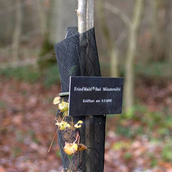 Das Bild zeigt ein Schild mit der Aufschrift „Friedwald Bad Münstereifel eröffnet am 8.3.2006“.