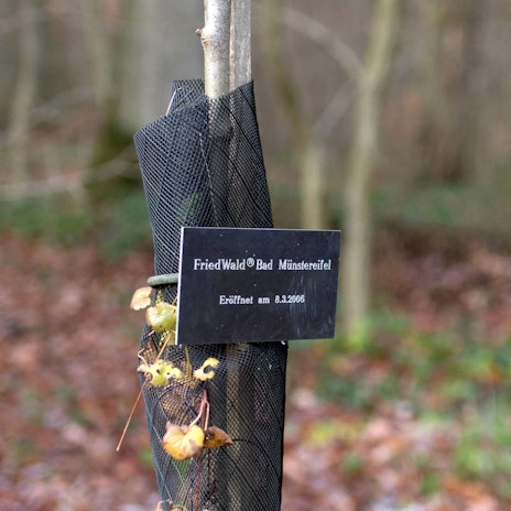Das Bild zeigt ein Schild mit der Aufschrift „Friedwald Bad Münstereifel eröffnet am 8.3.2006“.