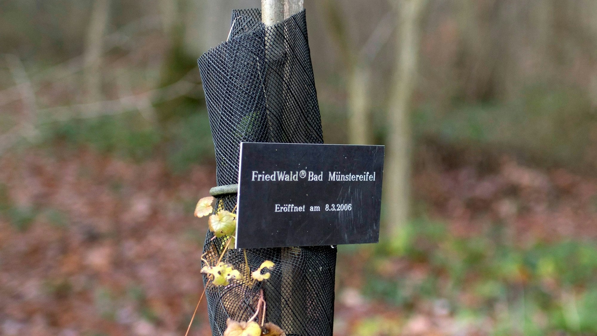 Das Bild zeigt ein Schild mit der Aufschrift „Friedwald Bad Münstereifel eröffnet am 8.3.2006“.