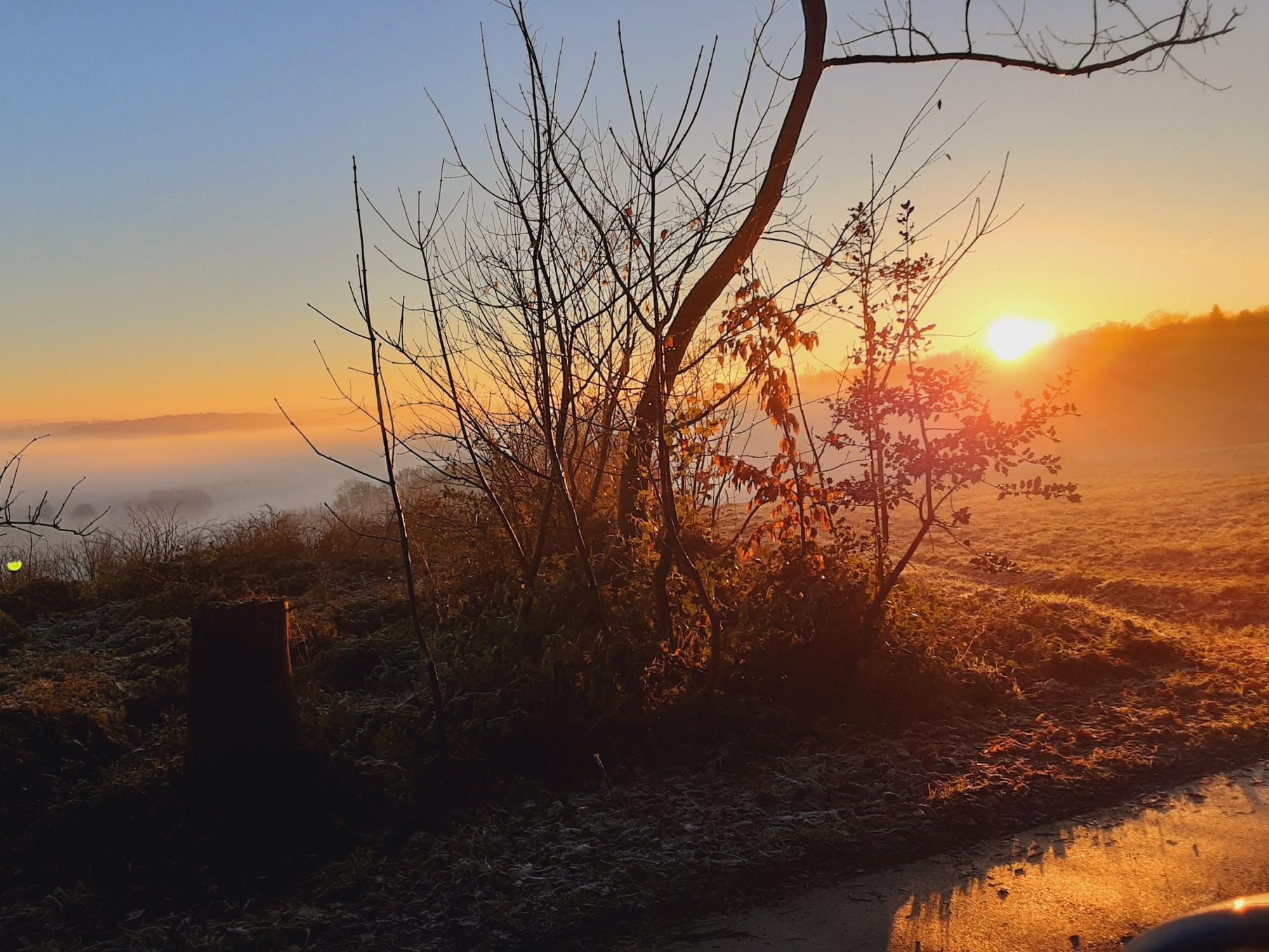 Ein Sonnenuntergang an einer Wiese.