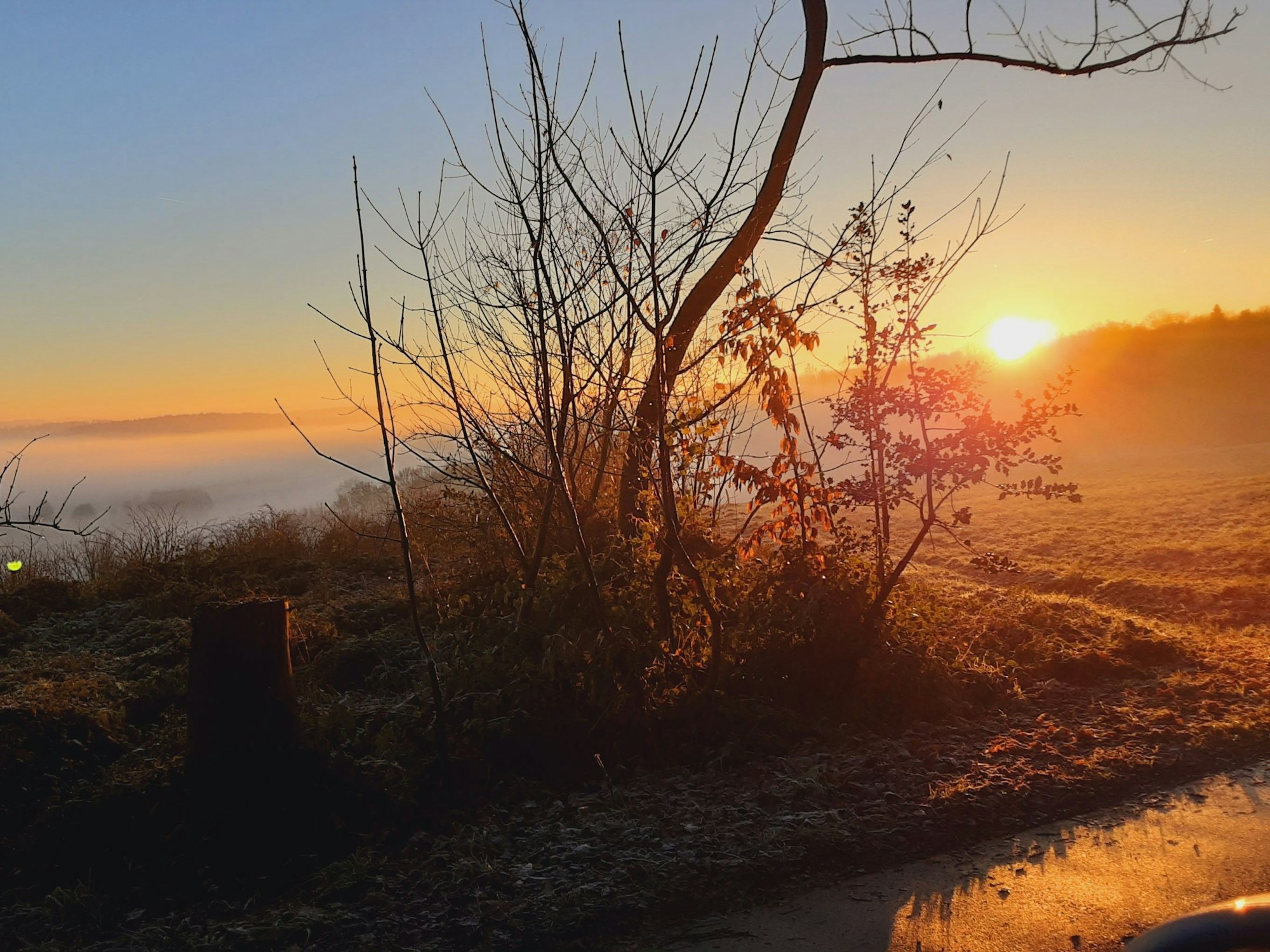 Ein Sonnenuntergang an einer Wiese.