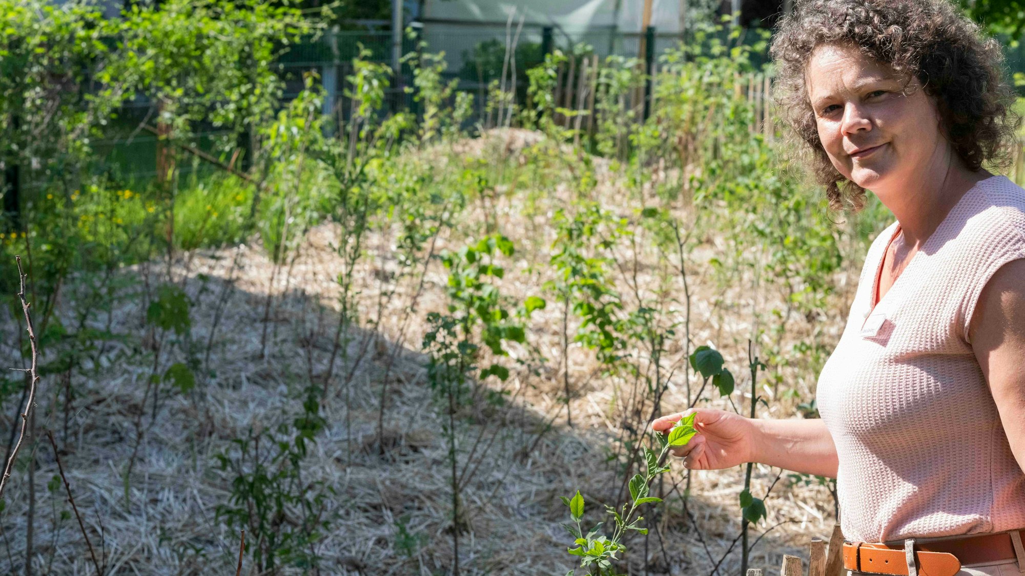 Das Bild zeigt Saskia Gall-Röhrig, die mit ihrer rechten Hand die Blätter eines jungen Baums berührt.
