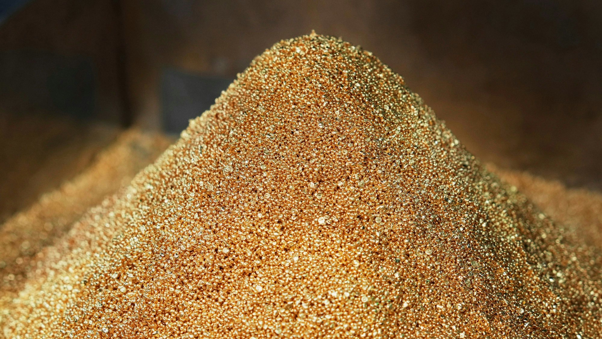 Frisch raffiniertes Goldgranulat liegt vor der Verarbeitung zu Goldbarren in der Schmelzhütte