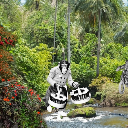 The Bright Side von Marta Bogdanska.