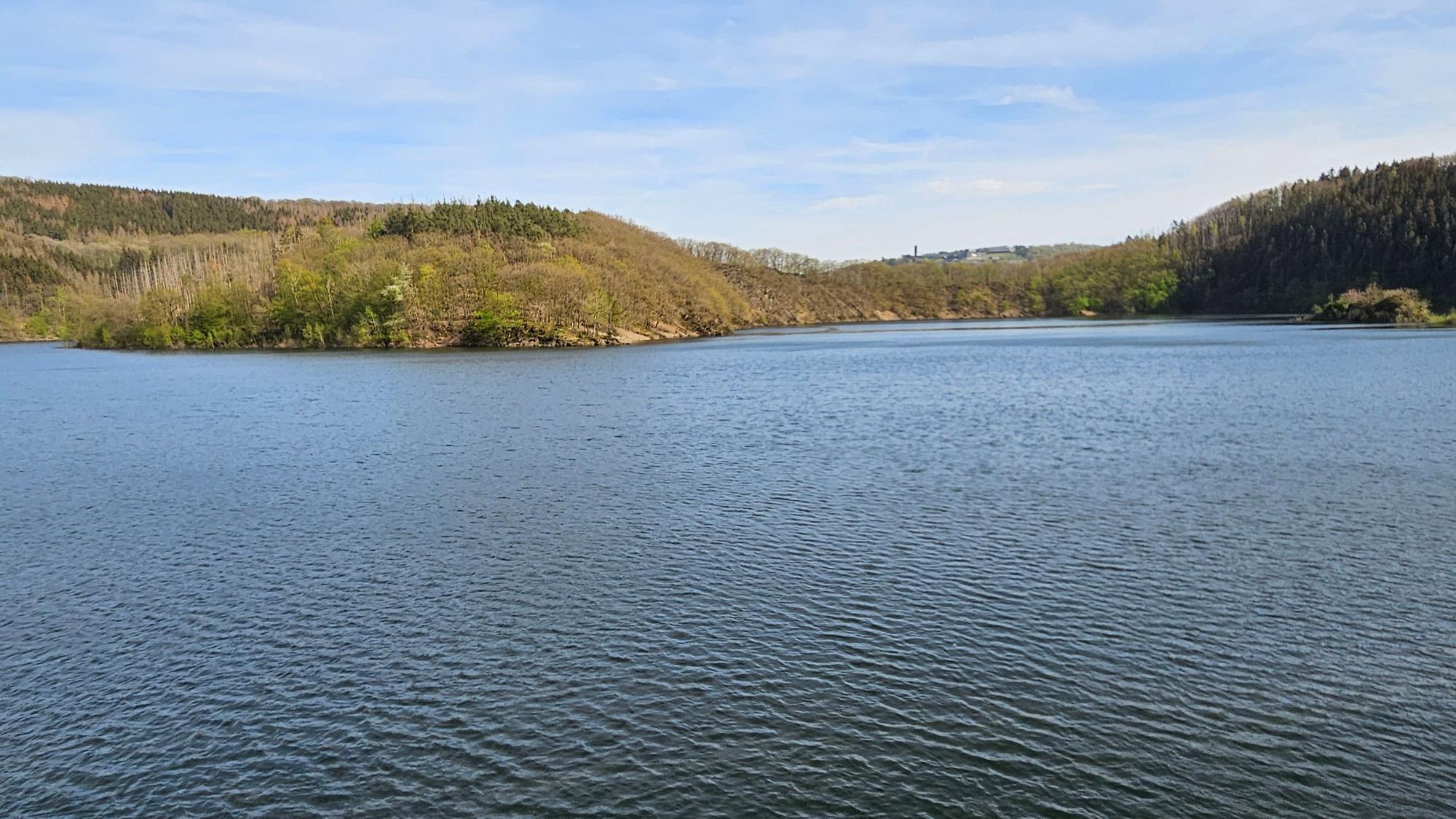 Blick auf den Urftsee.