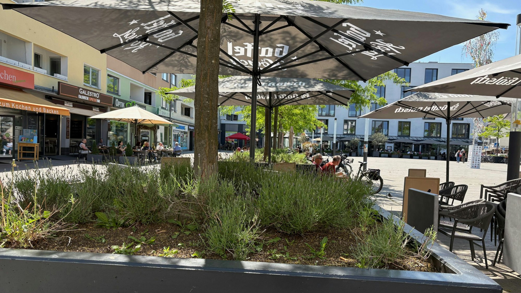 Am Maternusplatz in Rodenkirchen warten viele Blumenkästen auf Pflege.