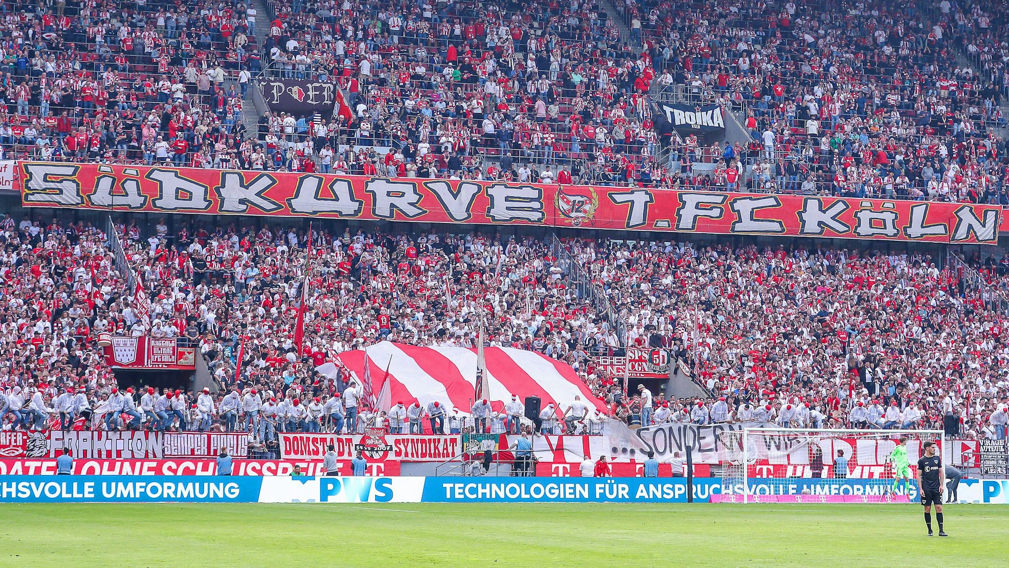 Die Fans des 1.FC Köln fiebern dem letzten Saisonspiel entgegen.