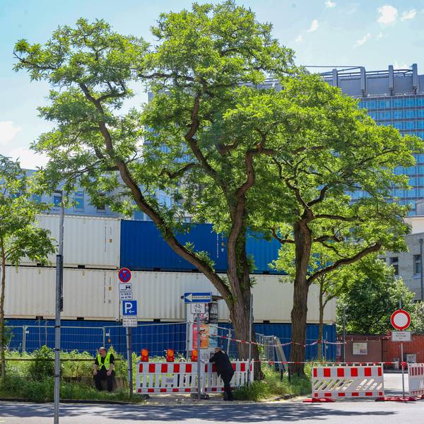 16.05.2025
Köln
Auf dem Leiblplatz in Lindenthal findet heute eine Grabung bei einem Kampfmittelverdacht statt. Wird eine Bombe gefunden, kommt es am nächsten Dienstag zu umfangreichen Evakuierunge. Sollte es sich um eine Bombe mit Langzeitzündern halten, werden Teile der Uniklinik und tausende Anwohner sofort evakuiert werden.
Foto: Martina Goyert