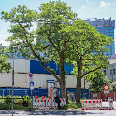 16.05.2025
Köln
Auf dem Leiblplatz in Lindenthal findet heute eine Grabung bei einem Kampfmittelverdacht statt. Wird eine Bombe gefunden, kommt es am nächsten Dienstag zu umfangreichen Evakuierunge. Sollte es sich um eine Bombe mit Langzeitzündern halten, werden Teile der Uniklinik und tausende Anwohner sofort evakuiert werden.
Foto: Martina Goyert