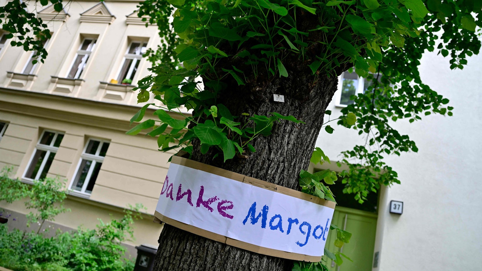Ein Schild mit der Aufschrift „Danke, Margot“ hängt an einem Baum in Berlin.