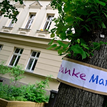 Ein Schild mit der Aufschrift „Danke, Margot“ hängt an einem Baum in Berlin.