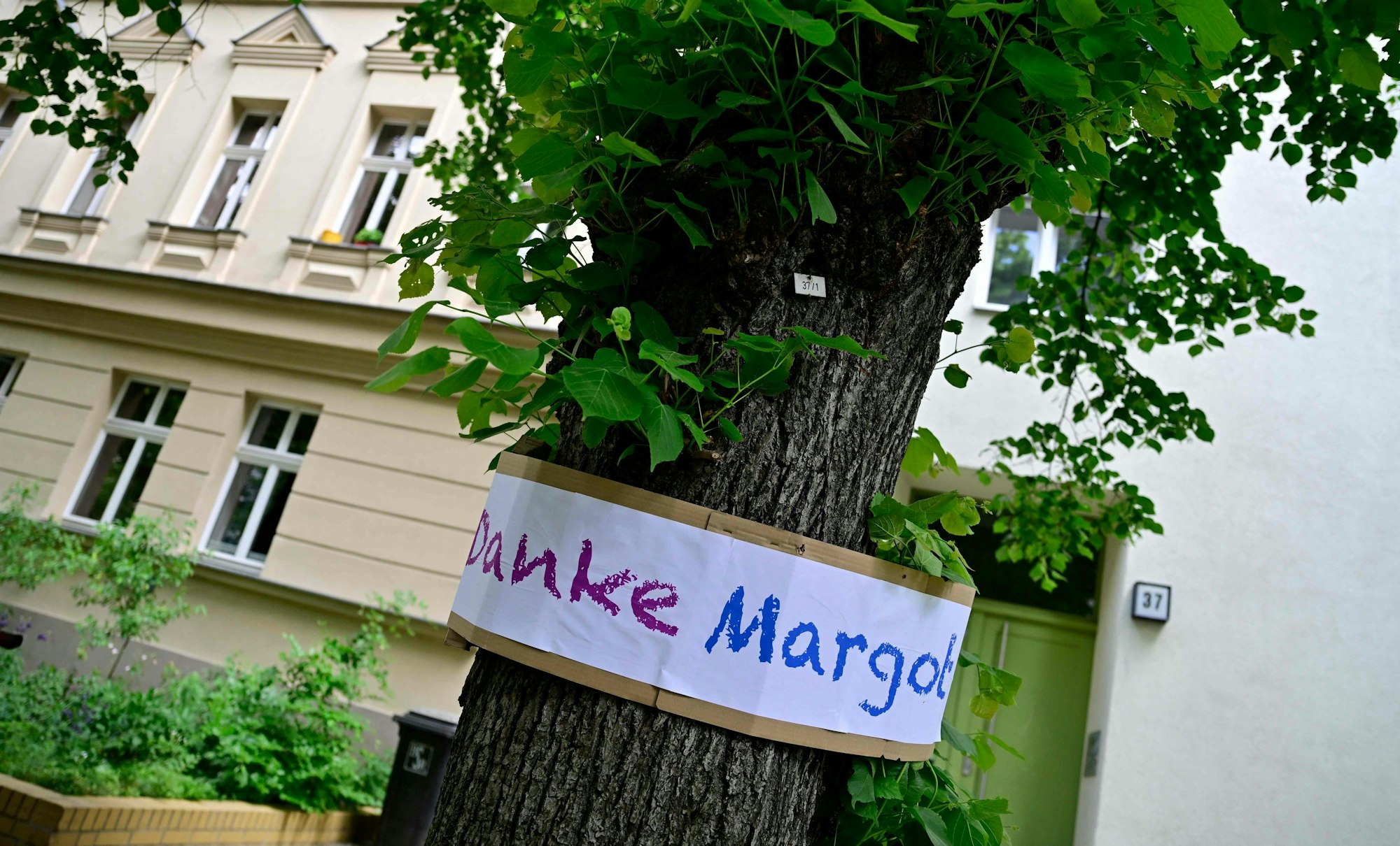Ein Schild mit der Aufschrift „Danke, Margot“ hängt an einem Baum in Berlin.